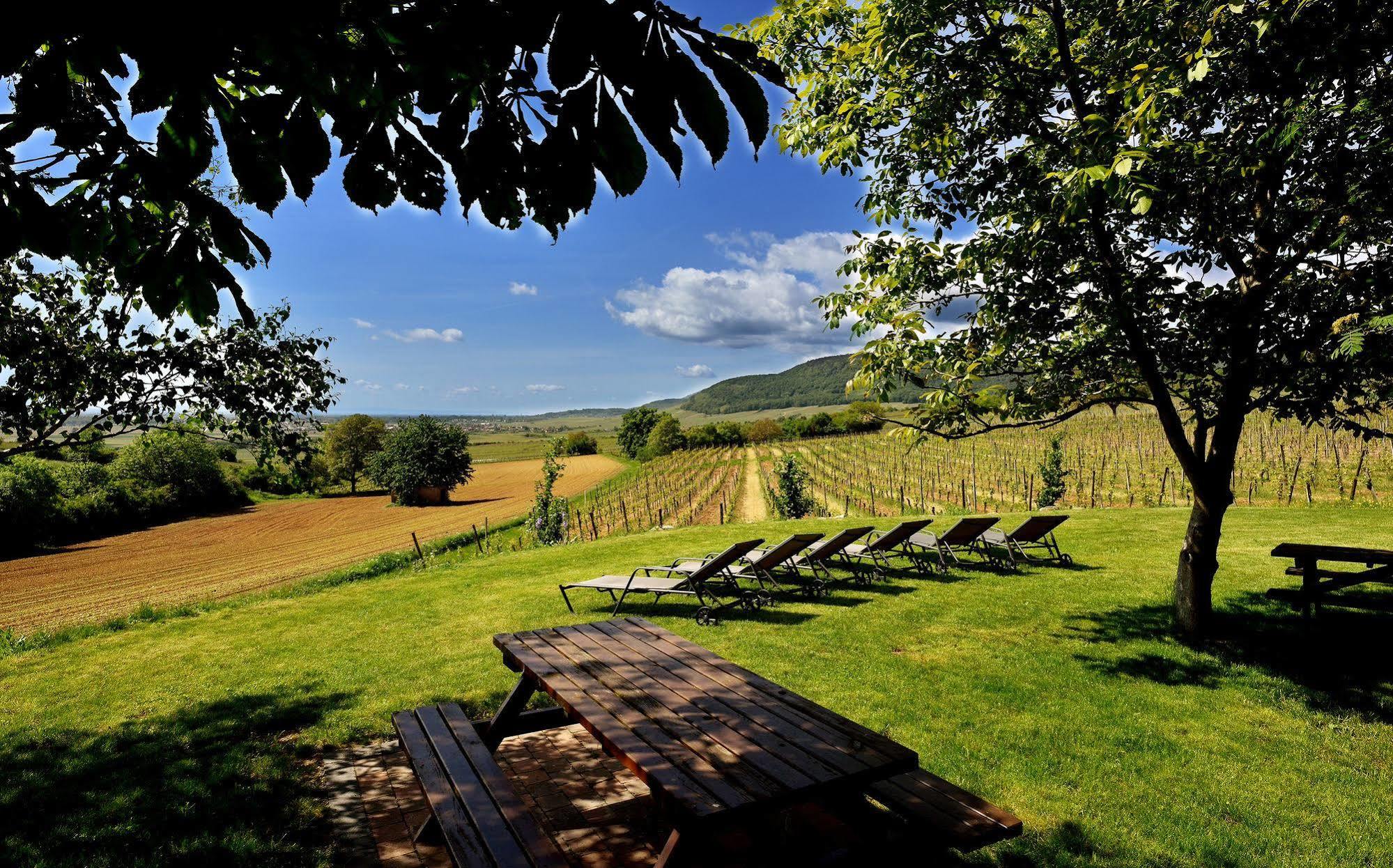 Hotel Du Bollenberg - Restaurant "Cote Plaine" - Spa De La Colline Westhalten Exteriér fotografie